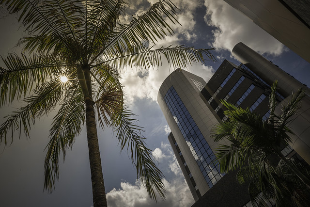 Manaus, 17/07/2019. Edifício Arnoldo Péres, sede do Tribunal de Justiça do Amazonas (TJAM). Foto: Raphael Alves